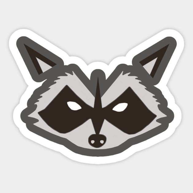 Raccoon Size Chart Ponasa